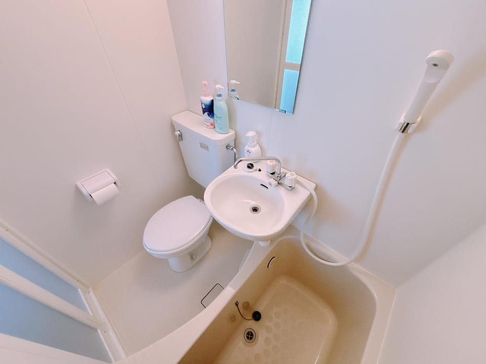 Toilet, Bathroom