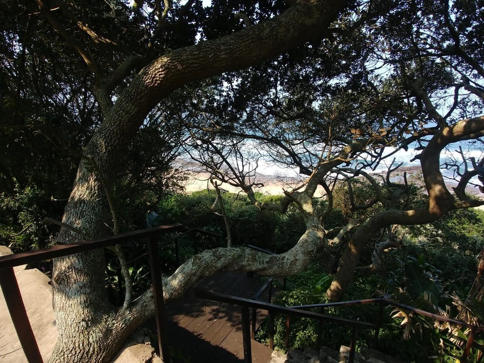 Natural landscape