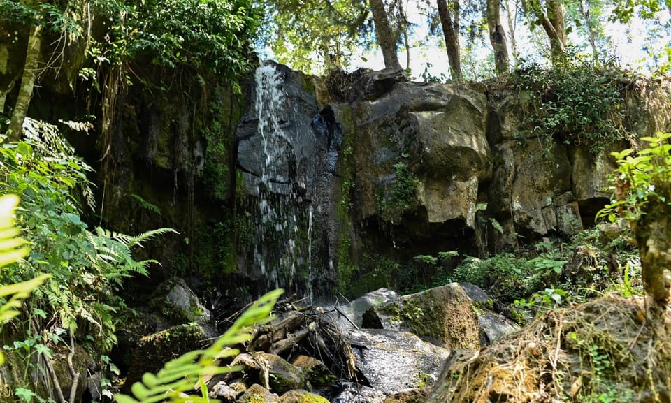 Spring, Natural landscape