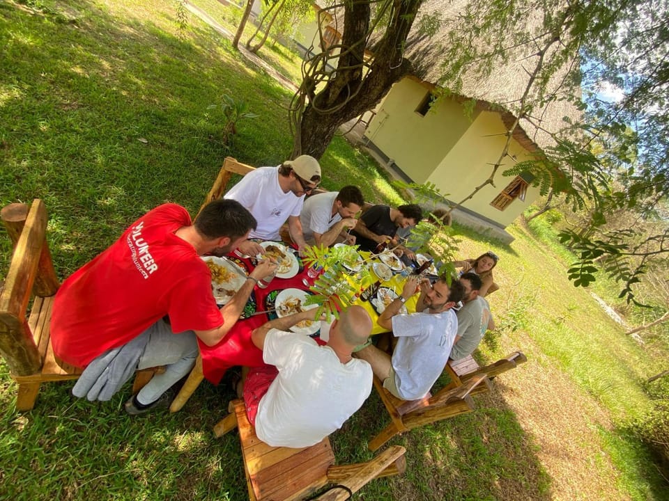People, Lunch, group of guests
