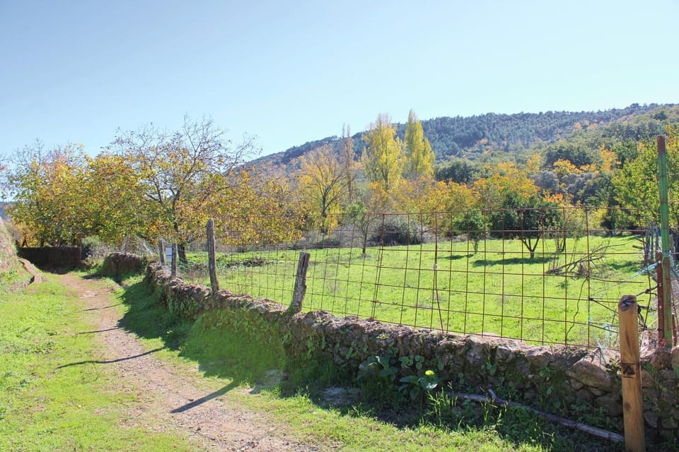 Natural landscape