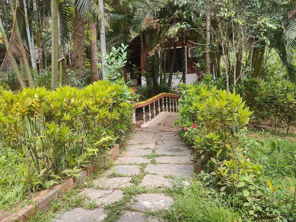 Day, Natural landscape, Garden, Garden view