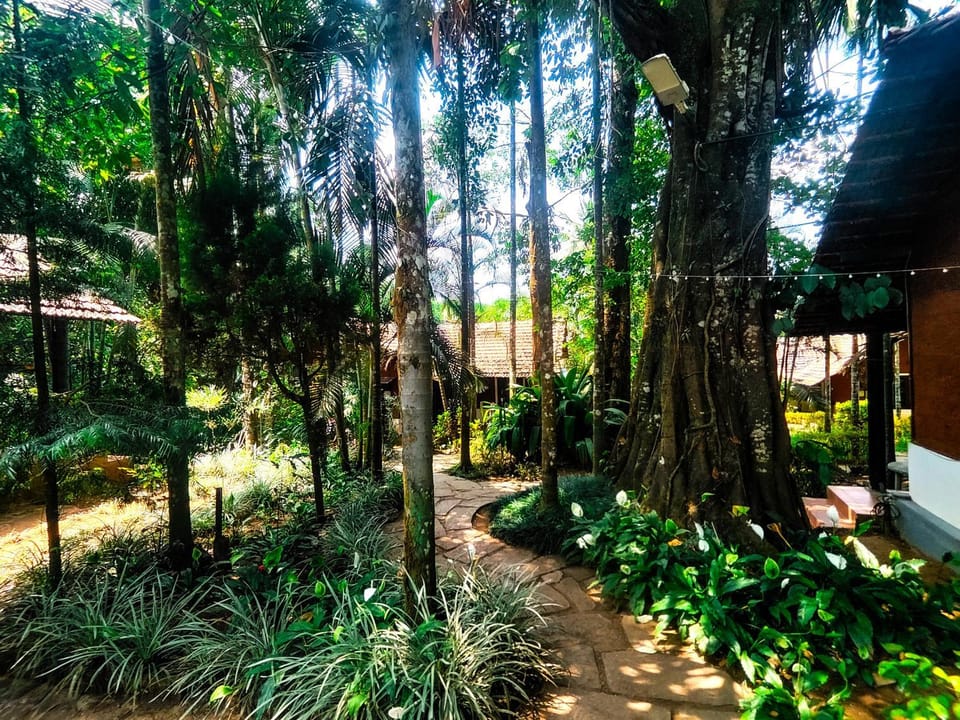 Spring, Day, Natural landscape, Garden, Garden view