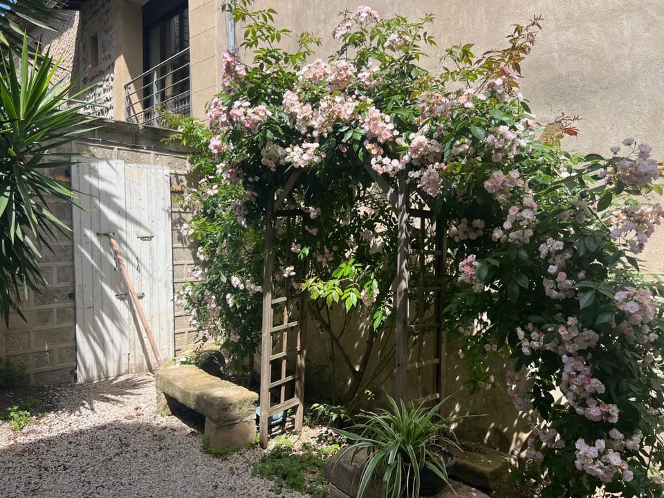 Le 1870 de la Lone House in Provence