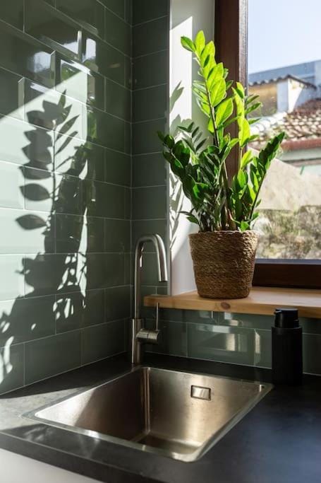 Chic Loft with Garden, Sleeps 4 Apartment in Porto