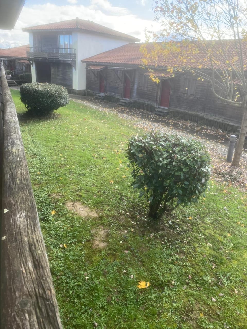 Garden view