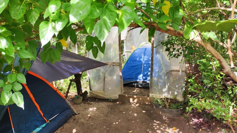 Bela Oyá Casa Hostel Campground/ 
RV Resort in State of Bahia