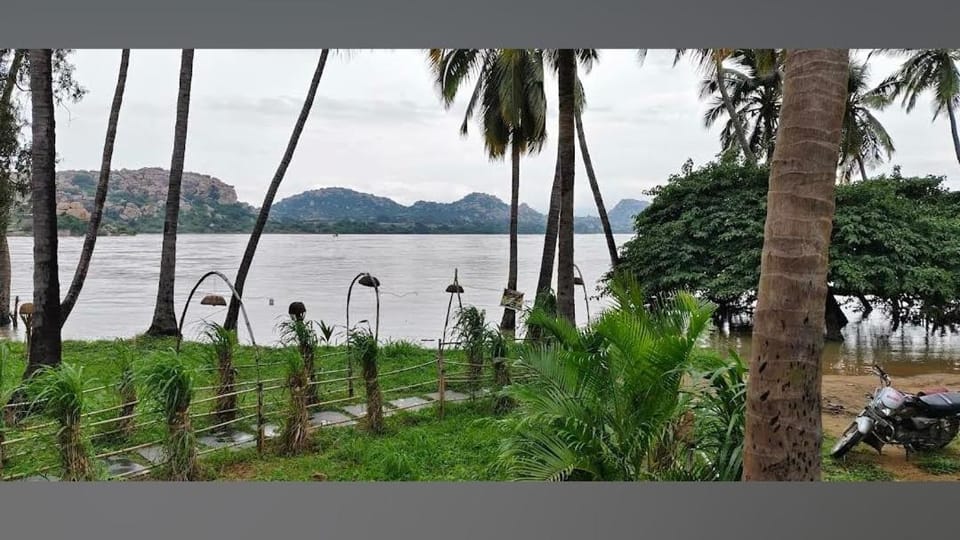 Natural landscape, River view