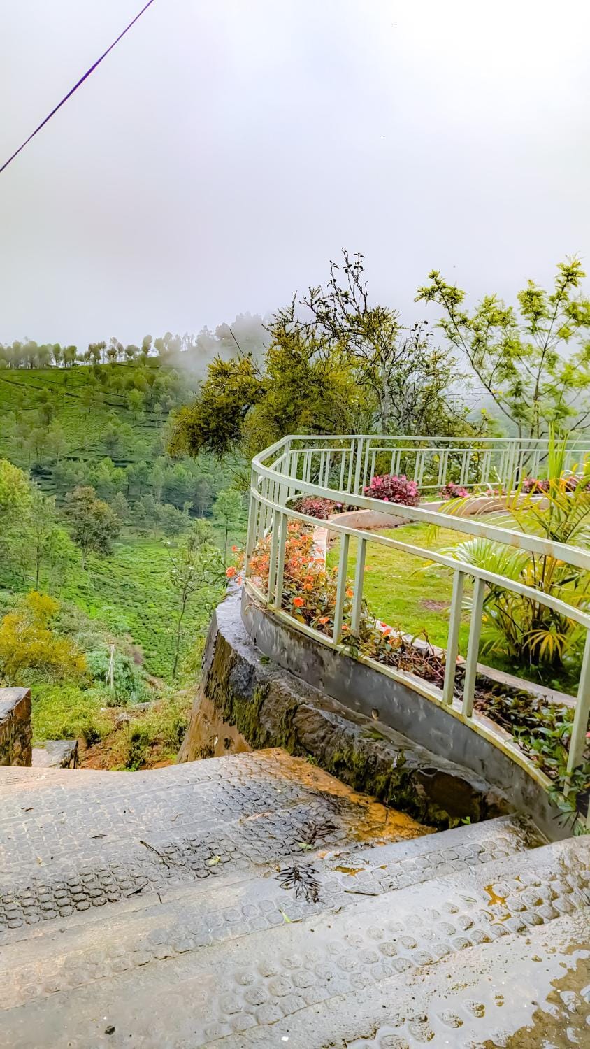 Natural landscape, Garden, Garden view
