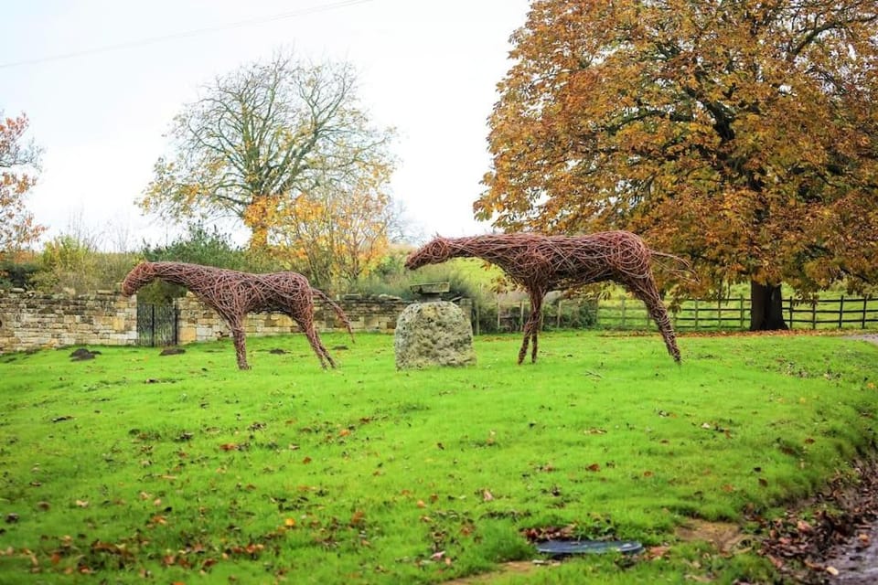 Natural landscape, Garden, Garden view