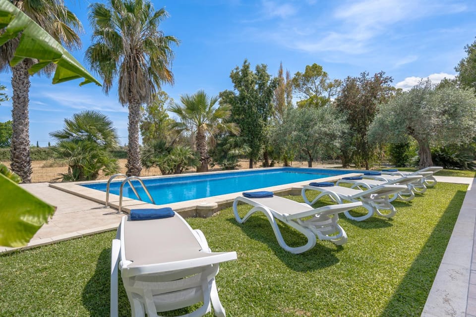 Patio, Garden, Garden view