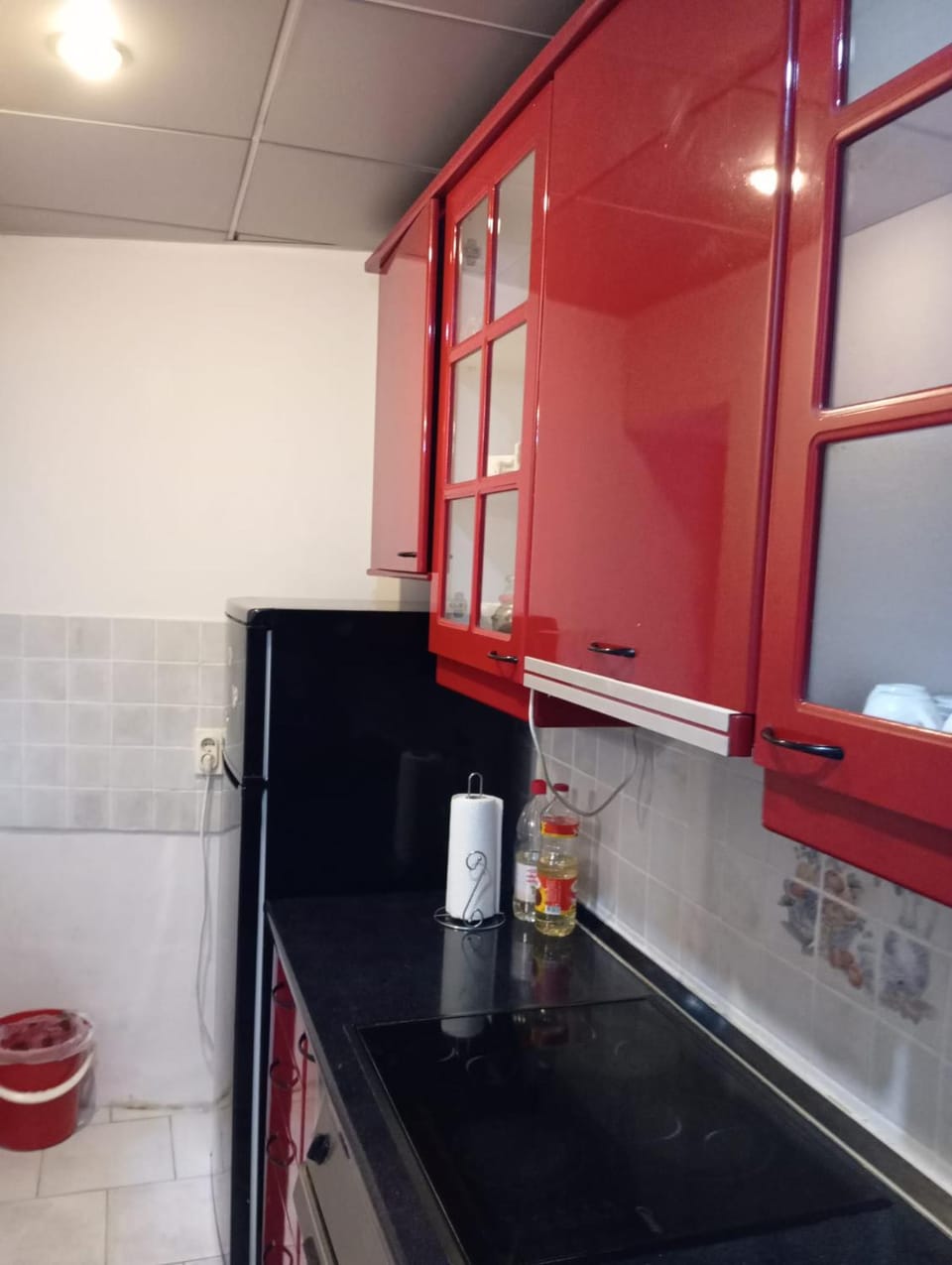 Central market plaza Promo price ! Apartment in Belgrade