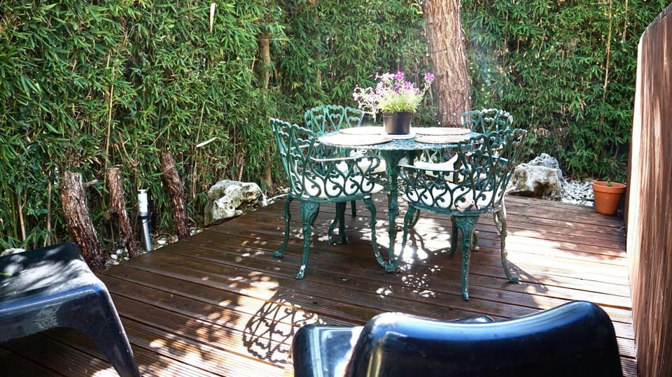 Garden view