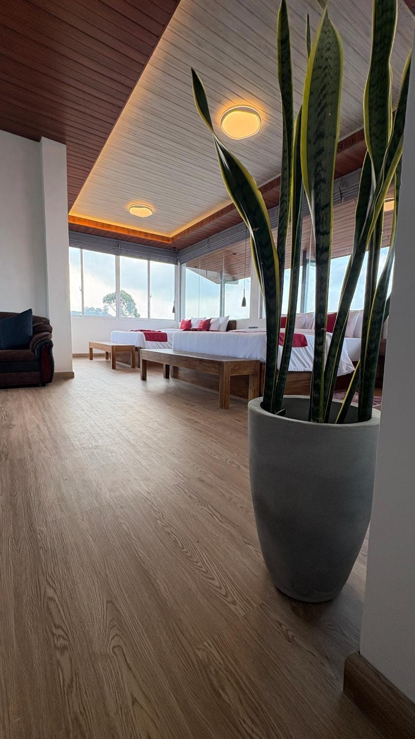 Photo of the whole room, Bedroom