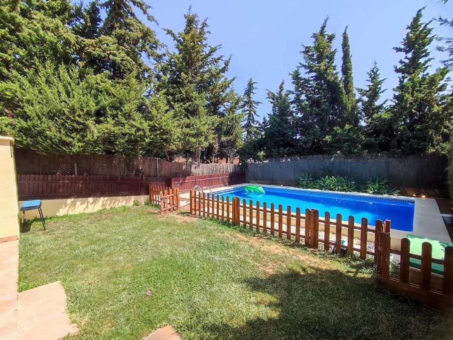 Garden, Garden view, Swimming pool