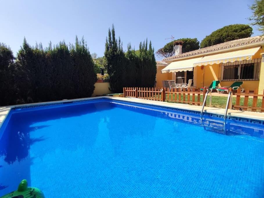 Swimming pool, sunbed