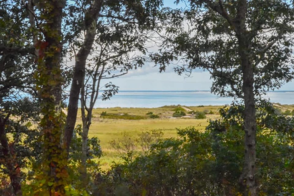Walk to beach Secluded and private home and backyard House in Brewster