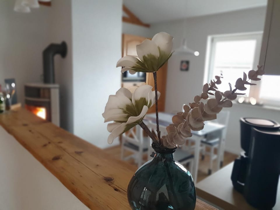 Kitchen or kitchenette, Dining area, fireplace