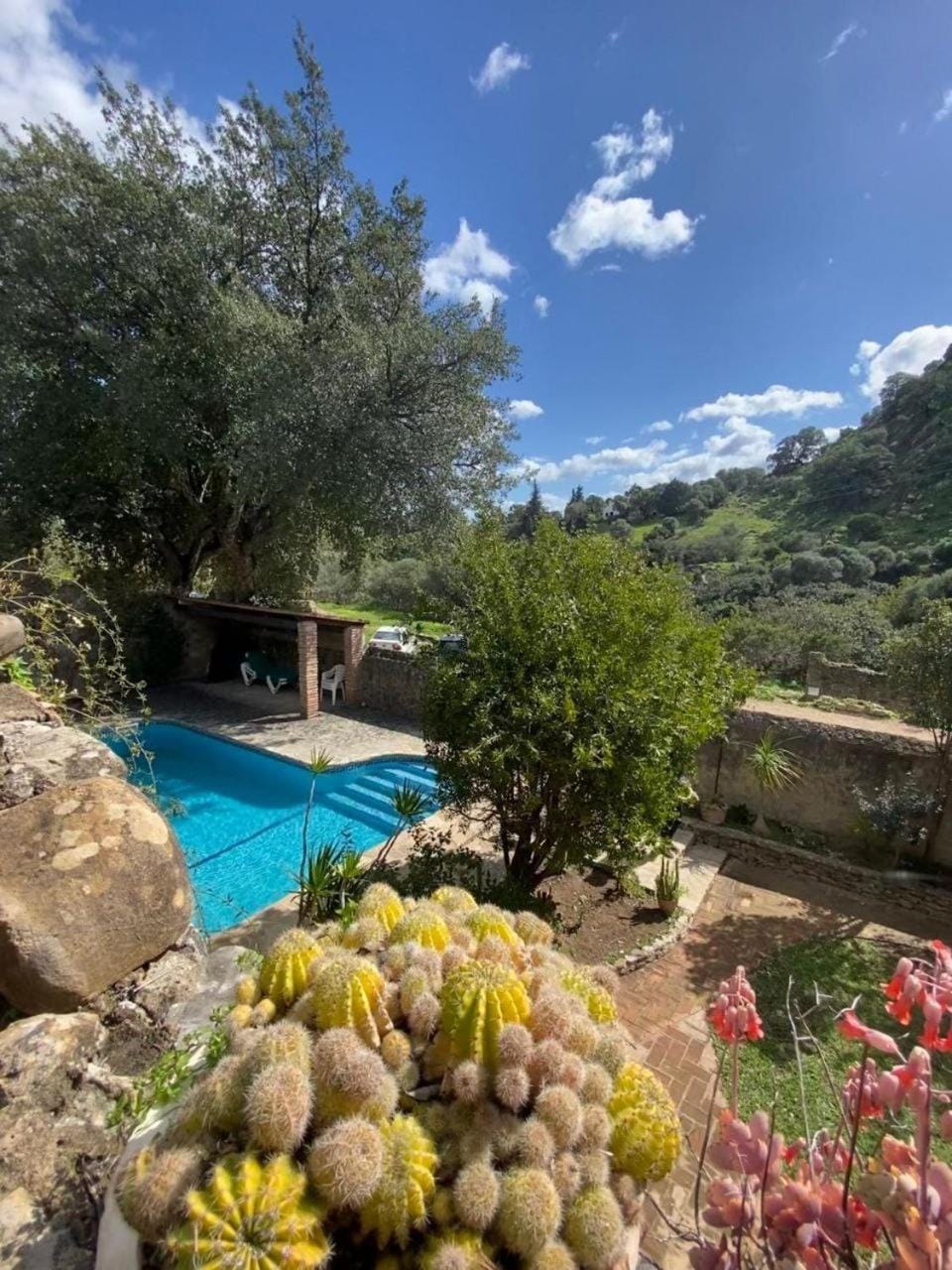 Natural landscape, Garden view, Mountain view, Pool view
