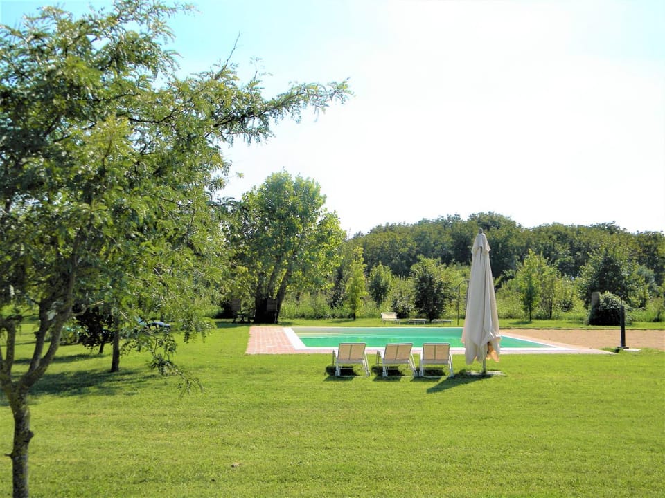 Garden, Garden view, Pool view, Swimming pool, sunbed