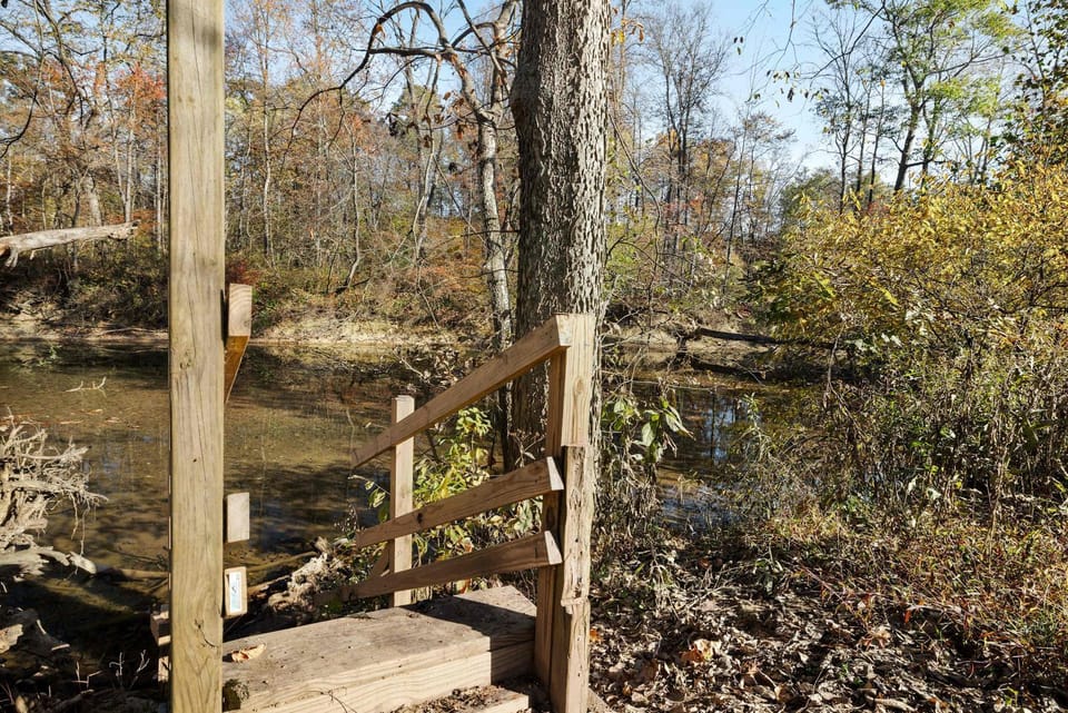 Natural landscape