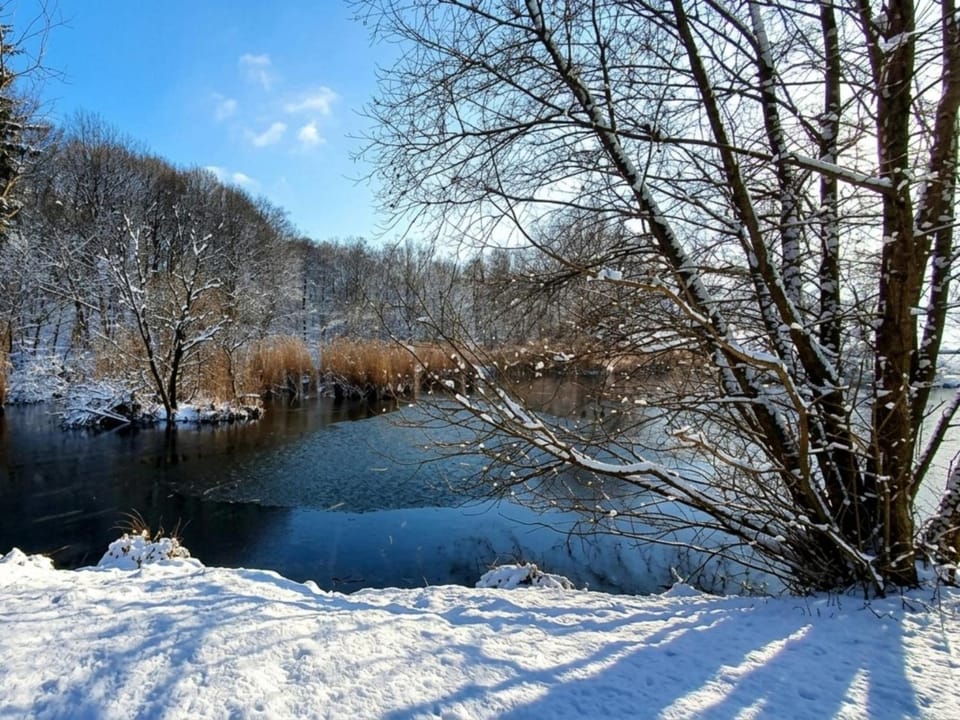 Winter, Area and facilities