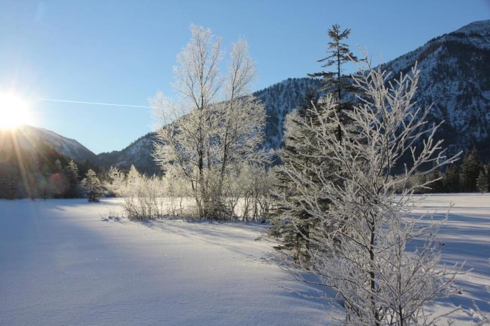 Ferienwohnungen Bergufer Apartment in Bavaria