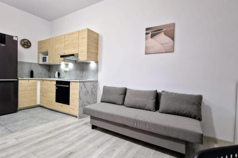 Kitchen or kitchenette, dishwasher, stove