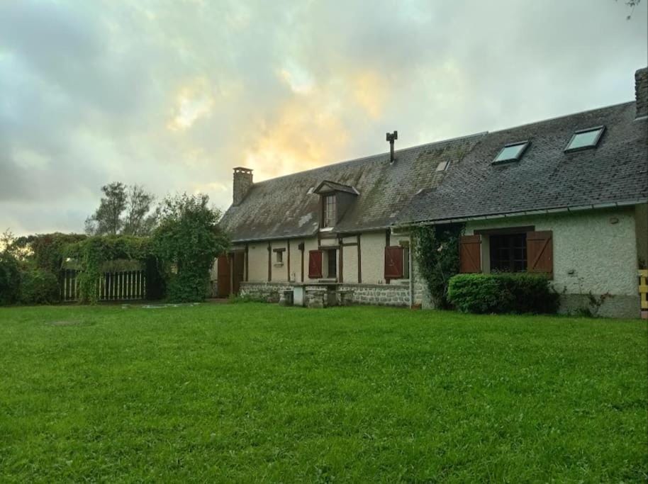 Property building, Garden, Garden view