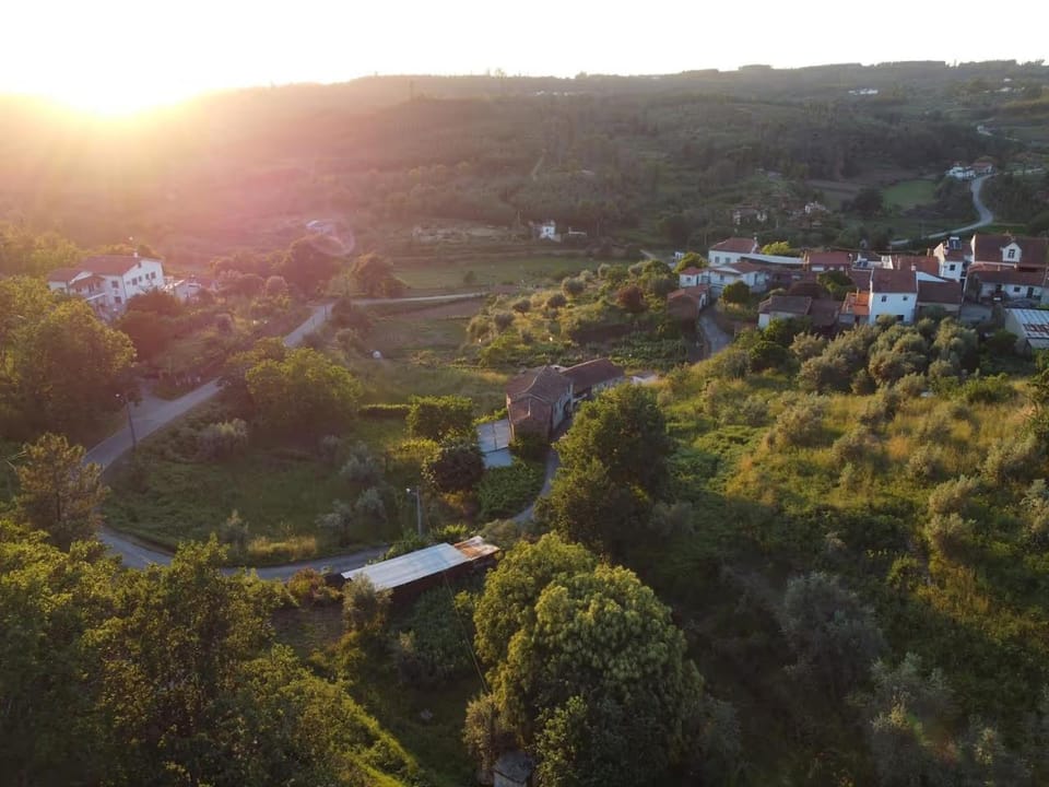Yellow House - Casa Amarela Bed and Breakfast in Coimbra District, Portugal