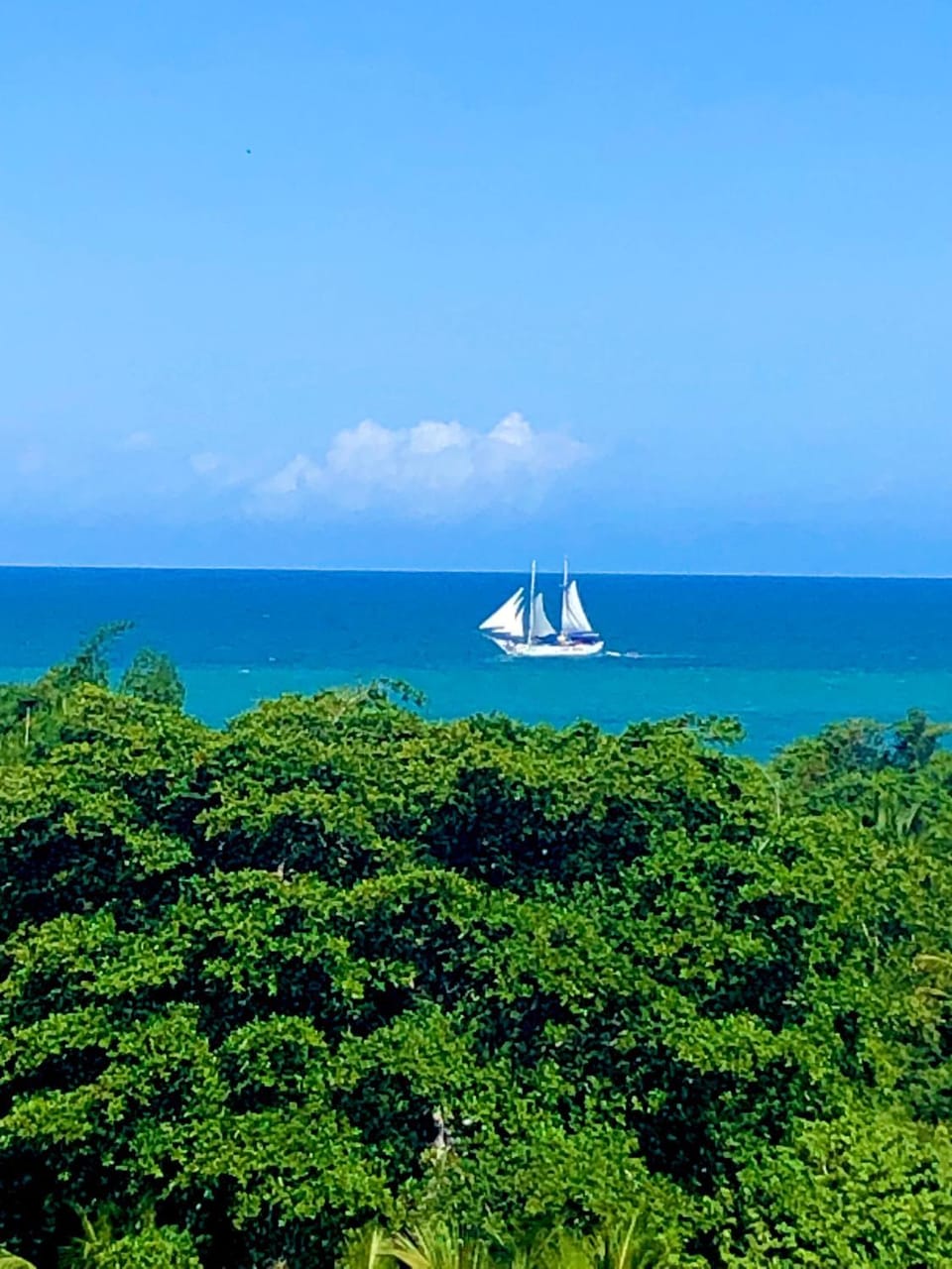 Sea view