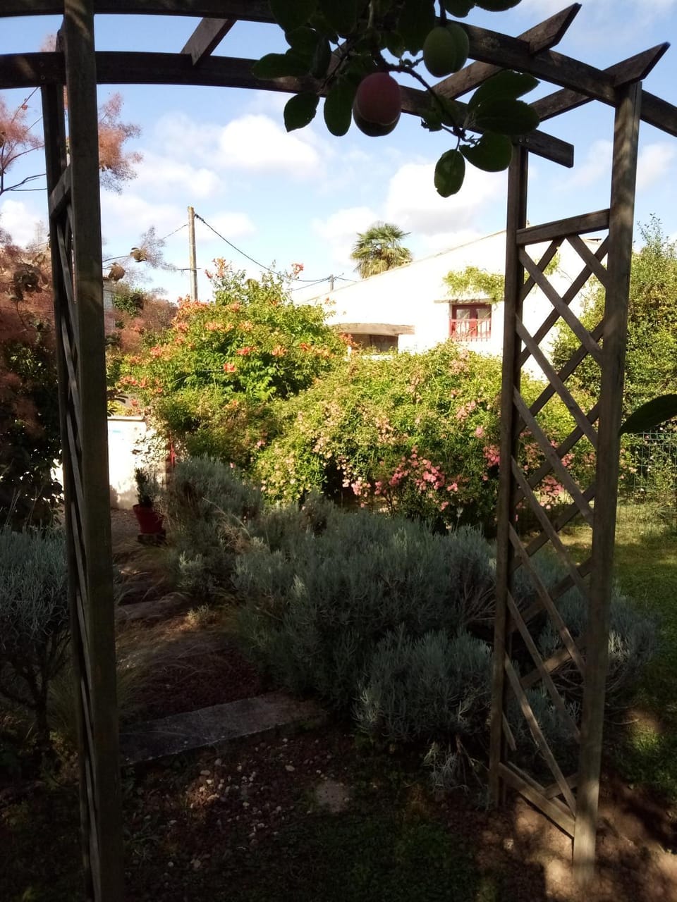 Les gîtes du veau d'or House in Nouvelle-Aquitaine