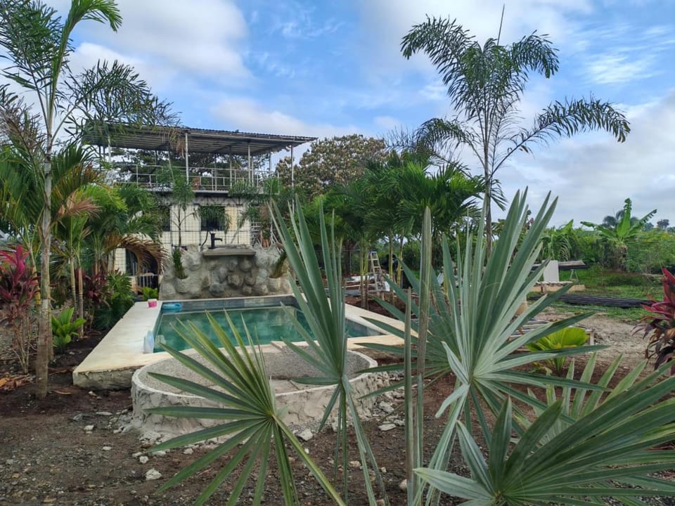 Property building, Spring, Day, Garden, Garden view, Pool view, Swimming pool