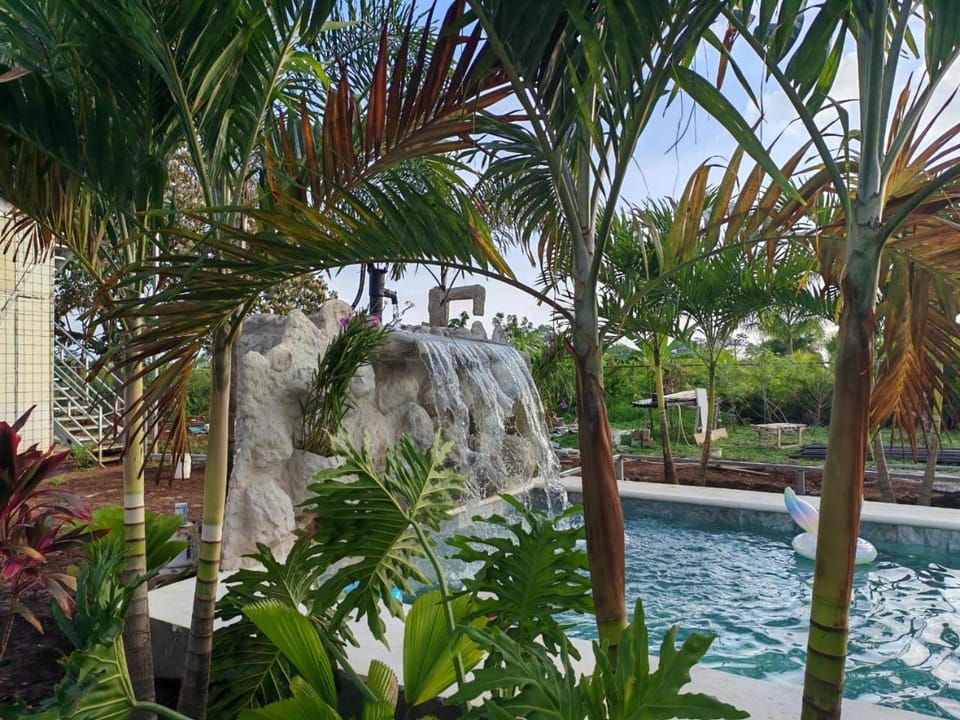 Spring, Day, Natural landscape, Garden, Garden view, Pool view, Swimming pool