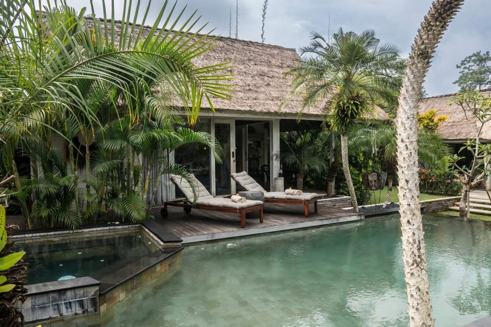 Garden, Garden view, Pool view, Swimming pool, sunbed