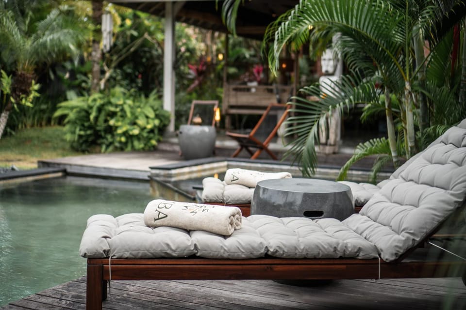 Garden, Pool view, Swimming pool, sunbed
