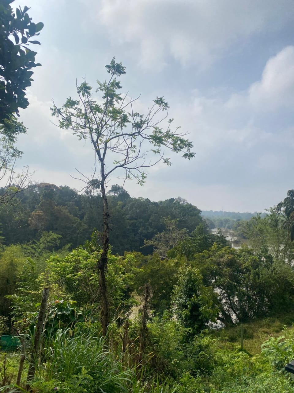 Happydays Hut Villa in Kerala