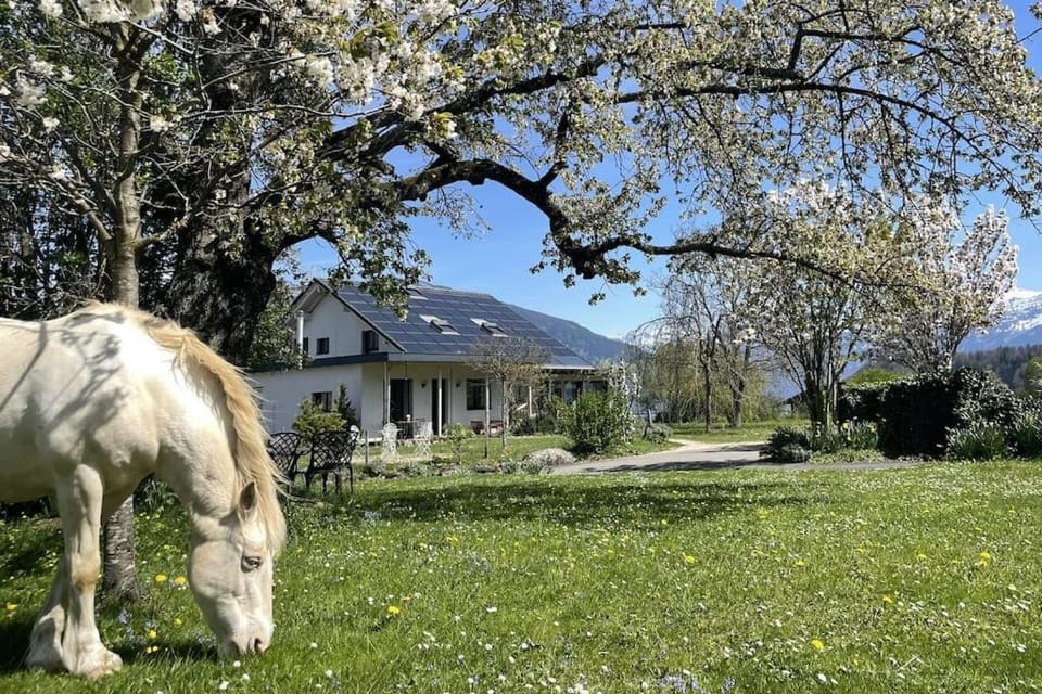 Property building, Garden, Animals