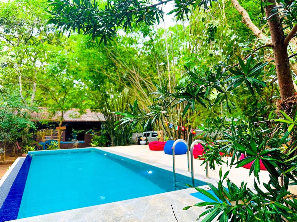 Spring, Day, Garden, Garden view, Pool view, Swimming pool, sunbed
