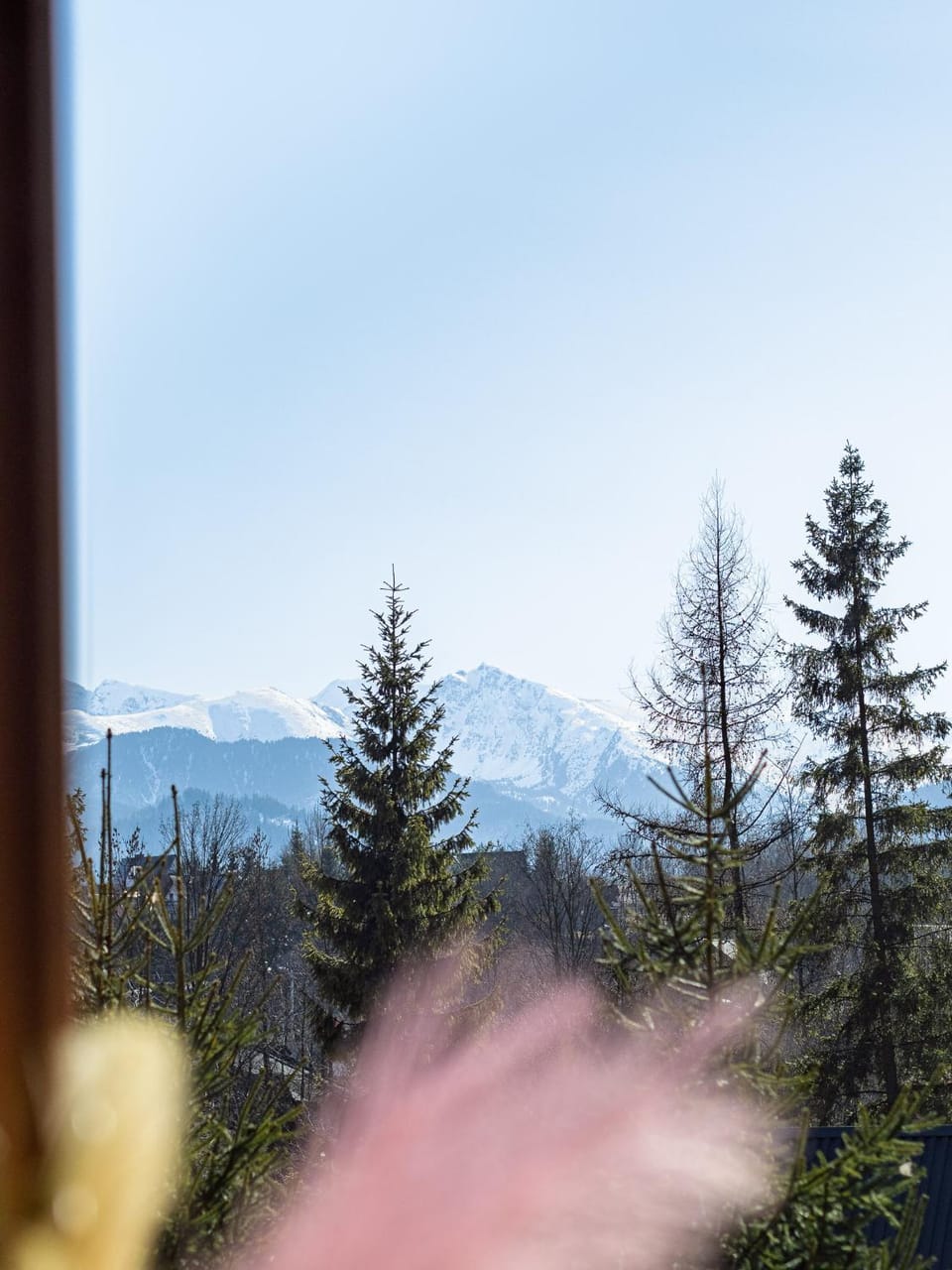 Mountain view