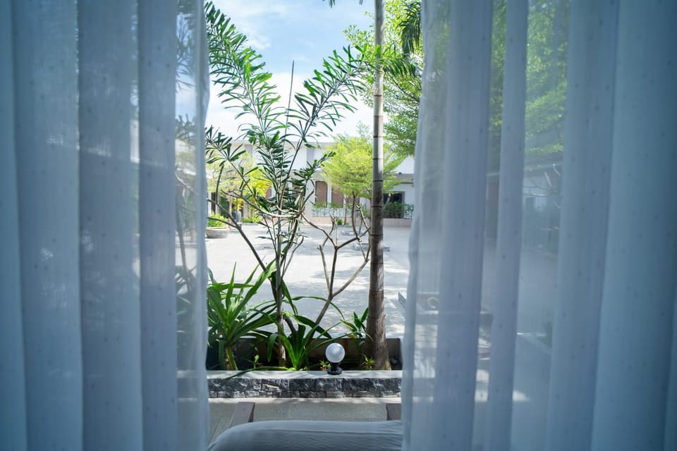 Garden view