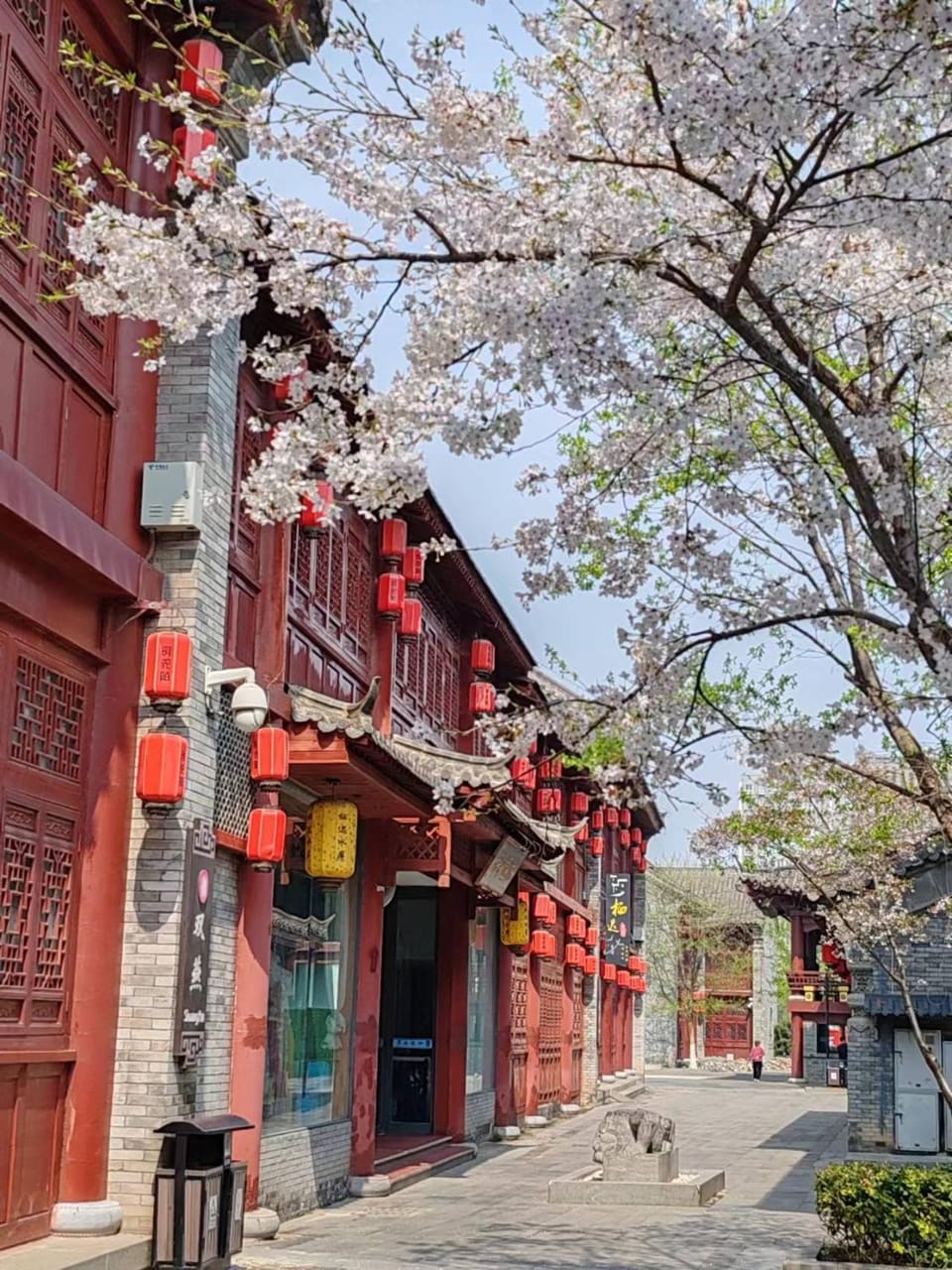 Property building, Spring, Day, Street view