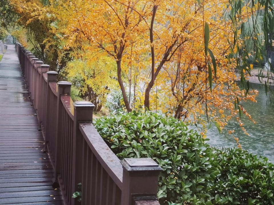 Natural landscape, Garden, Autumn, Garden view, River view