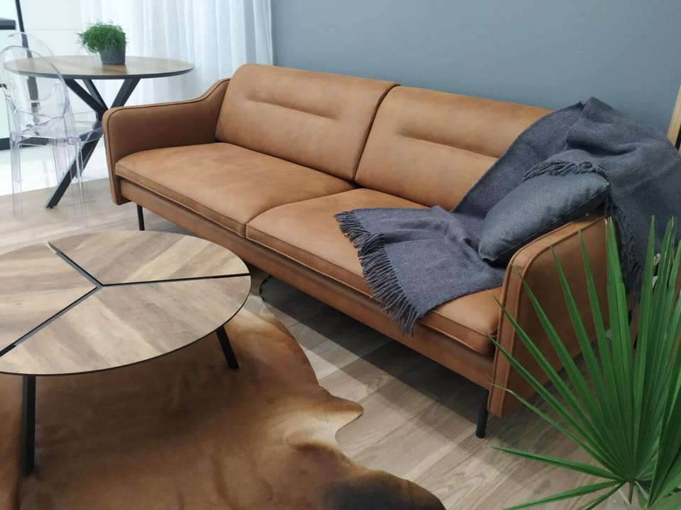 Uptown apartment in Kaunas Apartment in Lithuania