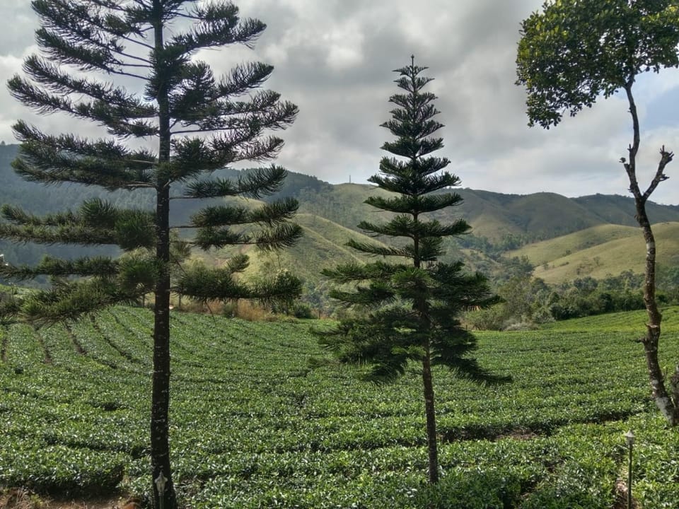 Natural landscape