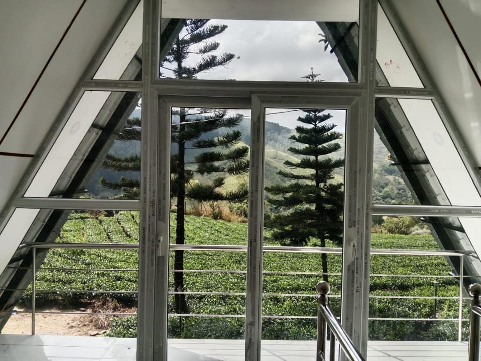 Pine Trees Home Holidays Vacation rental in Kerala