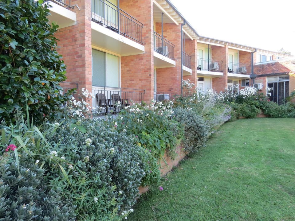 Day, Garden, Balcony/Terrace