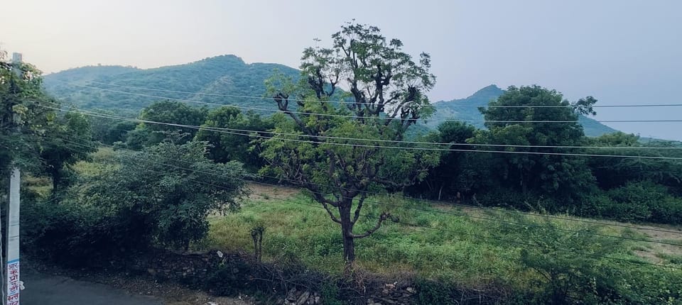 Mountain view