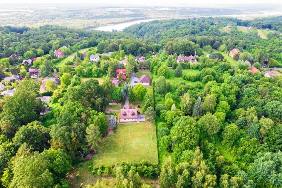 Neighbourhood, Natural landscape, Bird's eye view, Garden