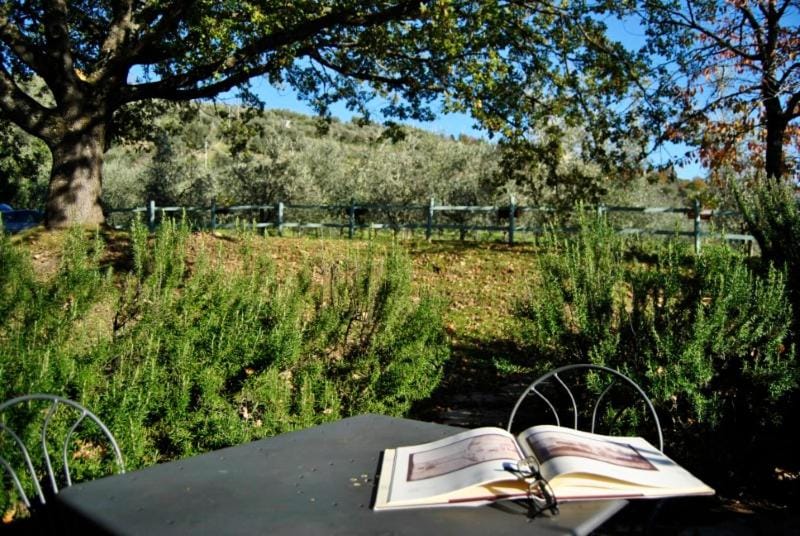 Spring, Day, Natural landscape, Garden, Garden view